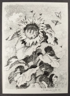 Švabinský Max – Slunečnice III, původní litografie, 1947