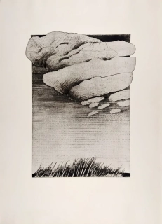 Bílková Alena – Tráva, rozměrná grafika, lept a suchá jehla, 1982