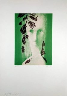 Jiřincová Ludmila – V podzimní mlze, původní litografie, autorský tisk, ca 1980