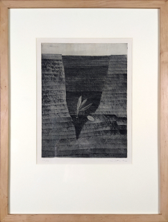 John Jiří – Semínko, suchá jehla, číslováno 20/50, 1966