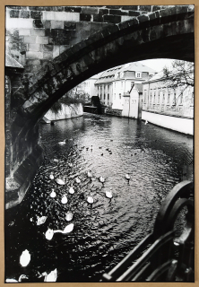 Rysová Hana – Praha, Malá Strana, Čertovka, autorská fotografie, nedatováno