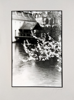 Rysová Hana – Praha, Kampa, autorská fotografie, nedatováno