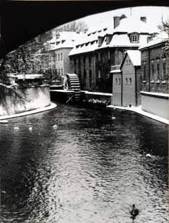 Rysová Hana – Praha, Čertovka, autorská fotografie, nedatováno