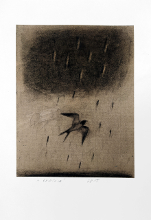 Kovalová Anežka – Duben, signovaná kresba uhlem, 2015
