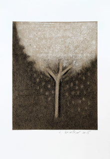 Kovalová Anežka – Květen, signovaná kresba uhlem, 2015