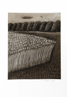 Kovalová Anežka – Srpen, signovaná kresba uhlem, 2015