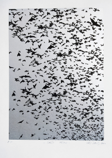 David Jiří – Další hejno, serigrafie, autorský tisk, 2001