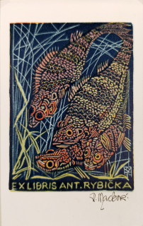 Macková Anna – Ex libris Ant. Rybička, původní barevný dřevoryt, nedatováno