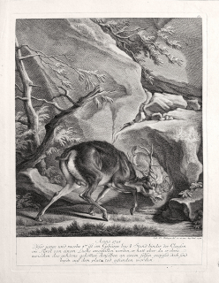 Ridinger Johann Elias – Jelínek napaden rysem, původní mědiryt, 1754