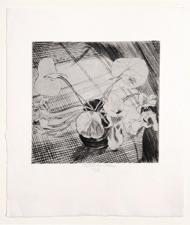 Černá Kateřina – Řeřicha, lept, č. 14/30, 1981