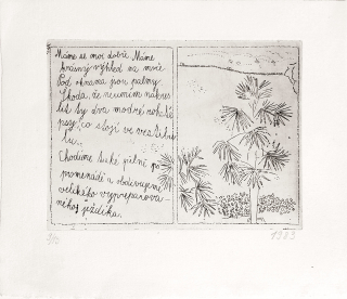 Černá Kateřina – Palmy, lept, číslováno 9/13, 1983
