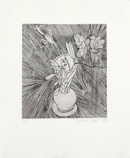 Černá Kateřina – Frézie, lept, číslováno 7/30, 1983