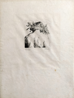 Švabinský Max – Studie ženské hlavy, číslovaný lept na japanu, 179/200, 1921