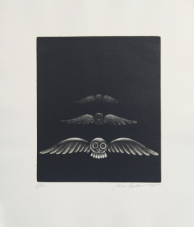 Čapková Jana – Let sovy, původní mezzotinta, číslováno 8/30, 1985