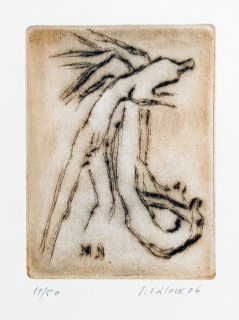 Válová Jitka – Figury v pohybu, lept a suchá jehla s barevným podtiskem, č. 11/50, 2006