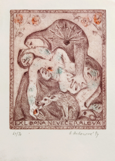 Antonová Alena – Ex libris Dana Nevečeřalová, kolorovaná suchá jehla s barevným podtiskem, č. 61/70, 1994
