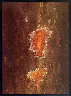 Pohribný Jan – Krajina 6, signovaná autorská fotografie, 1986