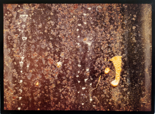 Pohribný Jan – Krajina 9, signovaná autorská fotografie, 1986