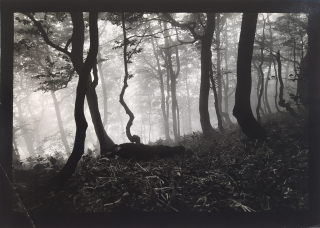 Boloňský Stanislav – Krajina 5, signovaná autorská fotografie, 1986