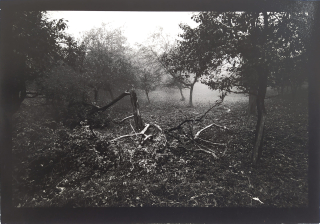 Boloňský Stanislav – Krajina 8, signovaná autorská fotografie, 1986