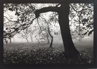 Boloňský Stanislav – Krajina 7, signovaná autorská fotografie, 1986