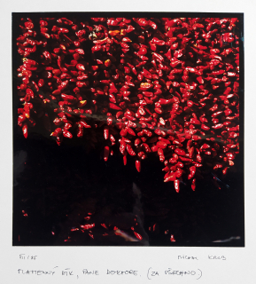 Krob Michal – Plamenný dík, signovaná autorská fotografie, XII. 1985
