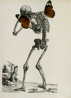 Lauffová Ľuba – Pf 1996, signovaná autorská fotografie, 1995