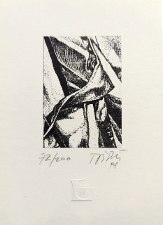 Pištěk Theodor – Lyra Pragensis, původní litografie, č. 72/200, 1994