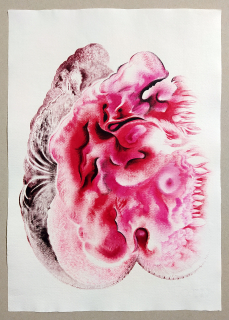 Holcová Veronika – Red, olejomalba na ručním papíře Losín, 2014