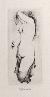 Jiřincová Ludmila – Dívčí akt J. S., původní zrnkový lept, 1976