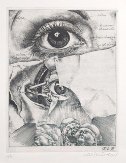 Kulhánek Oldřich – Die kleine Anatomie, Tab. III., původní lept, číslováno 18/30, 1974