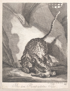 Ridinger Johann Elias – Tygr si hraje s dravcem, původní mědiryt, ca 1740