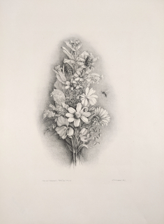 Jiřincová Ludmila – Kytička, původní litografie, číslováno 85/300, 1943