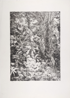 Kobliha František – Fantasie měsíčných nocí, původní litografie, číslováno 9/30, 1944–1946