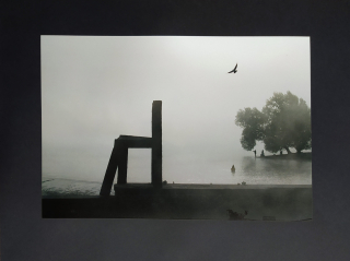 Rysová Hana – Židle na Kampě, signovaná autorská fotografie, nedatováno